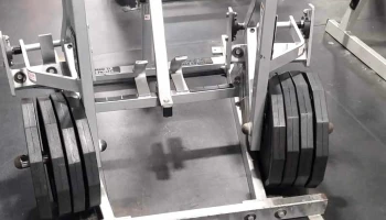 Alpha Fitness - Newton