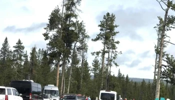 Alta - Alta