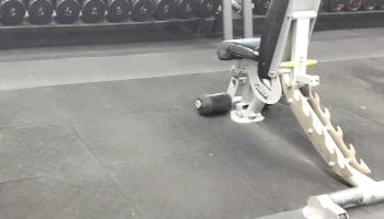 American Barbell Clubs - Campbell