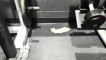 Anytime Fitness - Mexia