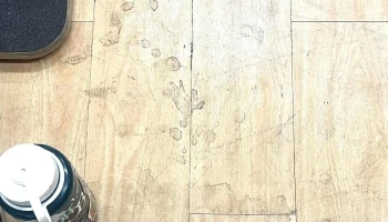 Anytime Fitness - Roseville