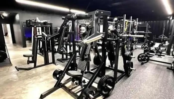 Dash Fx - Angleton
