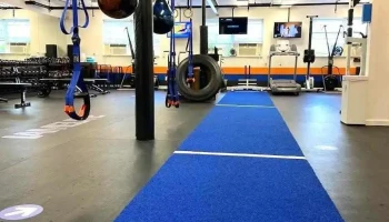 Elite Life And Fitness Studio - Scarsdale