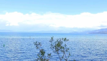 Lake Tahoe Yoga Paddle Yoga Classes - South Lake Tahoe