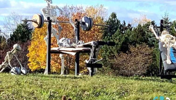Next Level Fitness 24-7 - De Pere