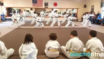 Pelletier's Karate Academy - Lewiston