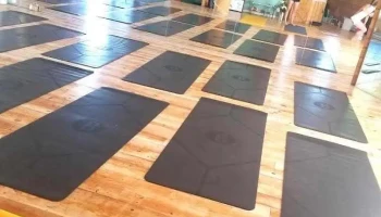 Roots : A Yoga and Movement Studio - Oakland