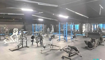 Underdog Nutrition & Gym - Gillette