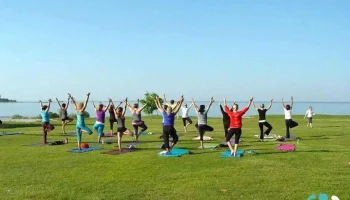 Yoga Roots and Healing Arts - Petoskey