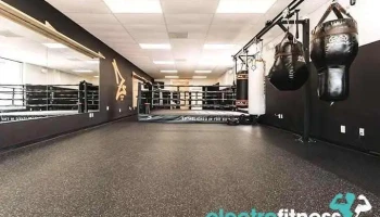 Z's Boxing Gym - Annandale