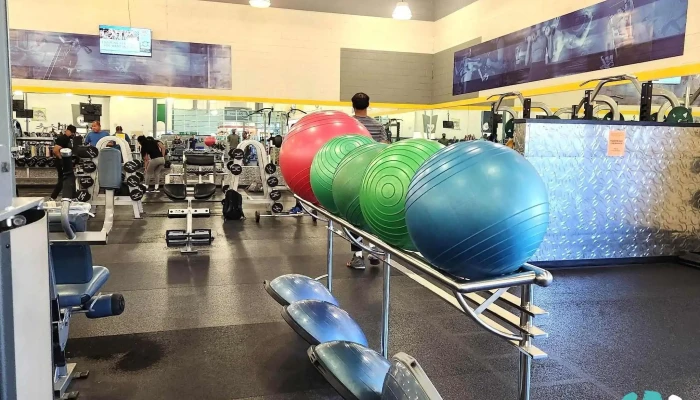 24 Hour Fitness -  All - Elk Grove