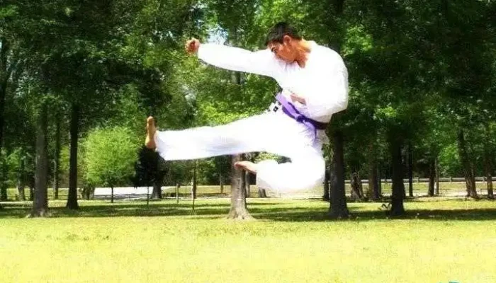 Acsoma Arlandus Chimneys Schools Of Martial Arts Martial Art - Nacogdoches