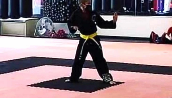 Allen Park Martial Arts Center -  Address - Allen Park