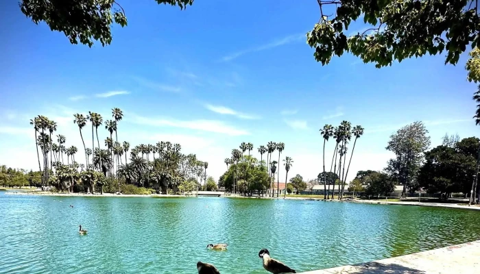 Alondra Park -  Address - Lawndale