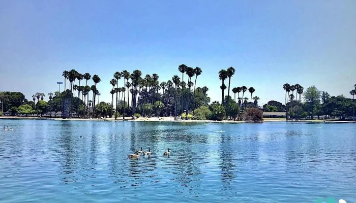 Alondra Park -  All - Lawndale