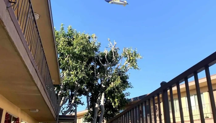 Alondra Park Apartments -  Exterior - Torrance