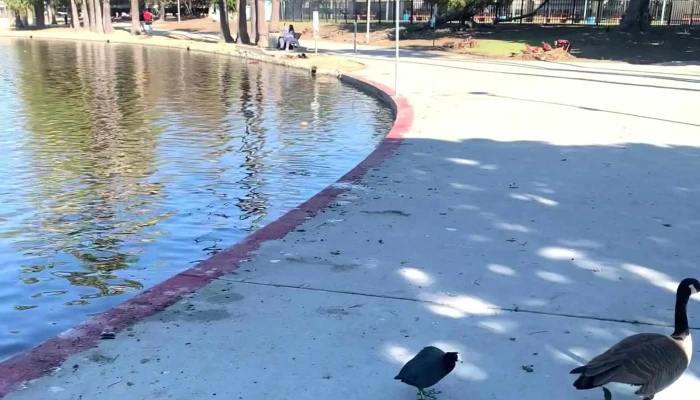 Alondra Park -  Near Me - Lawndale