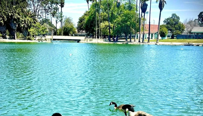 Alondra Park -  Park - Lawndale