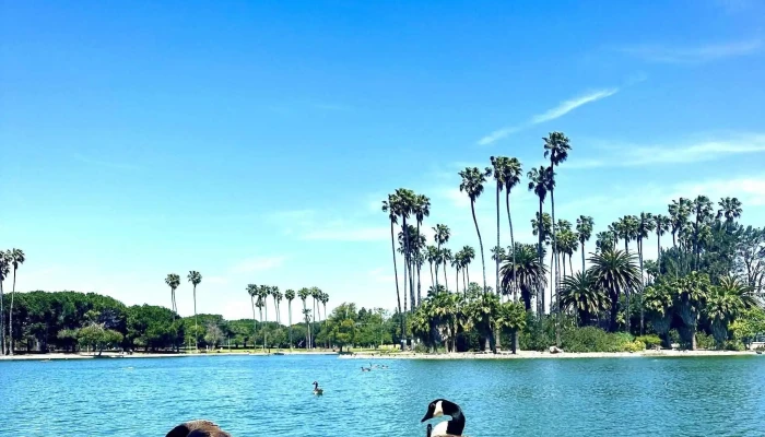 Alondra Park -  Photos - Lawndale