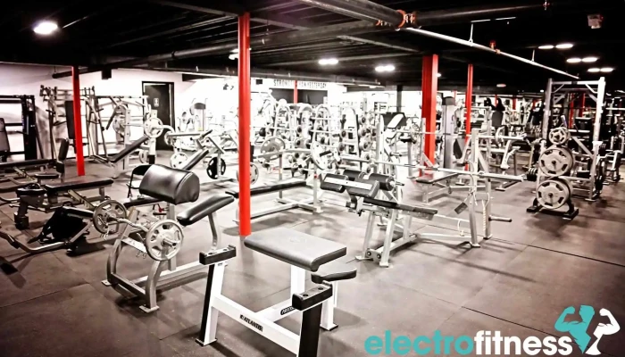Alpha Fitness -  All - Newton