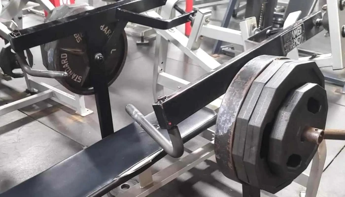 Alpha Fitness -  Gym - Newton