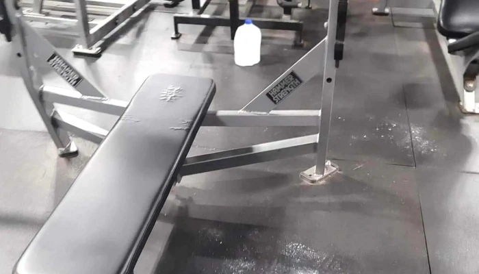 Alpha Fitness -  Instagram - Newton