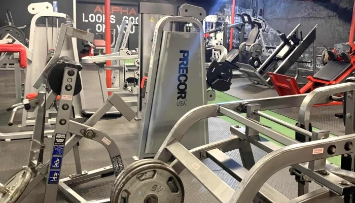Alpha Fitness -  Near Me - Newton
