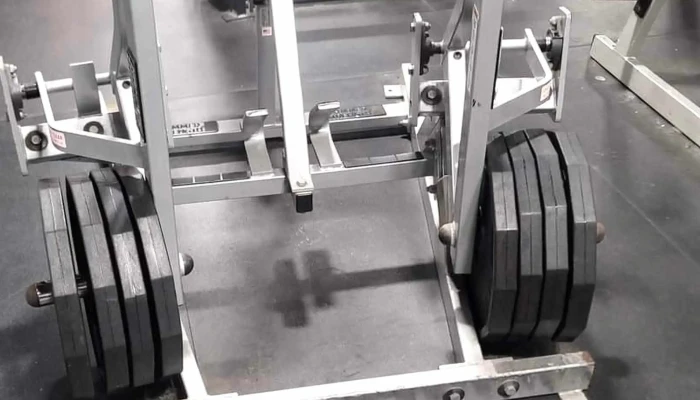 Alpha Fitness - Newton