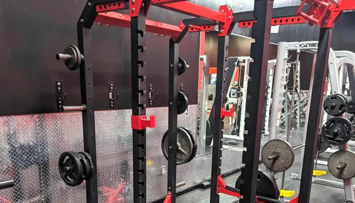 Alpha Fitness -  Physical Fitness Program - Ledgewood