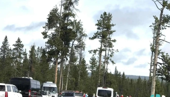 Alta - Alta