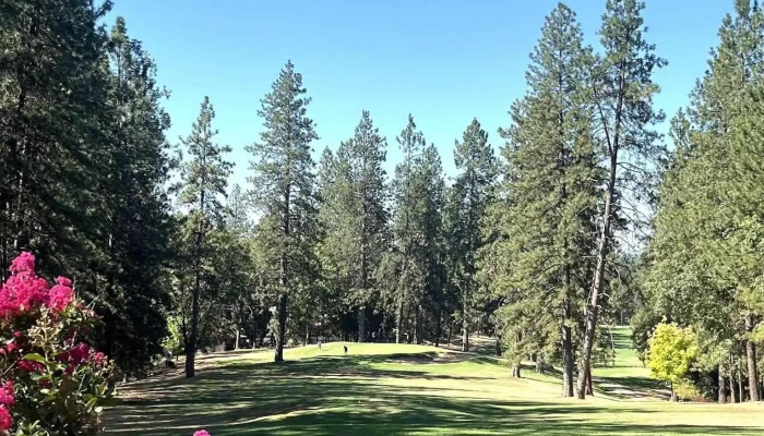 Alta Sierra Country Club -  Landscape - Grass Valley