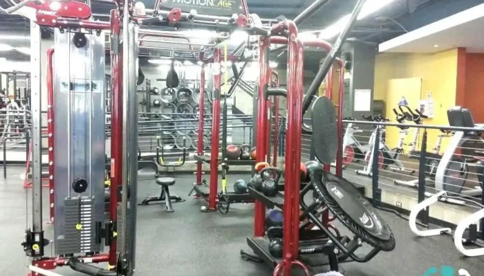 American Barbell Clubs -  All - Campbell