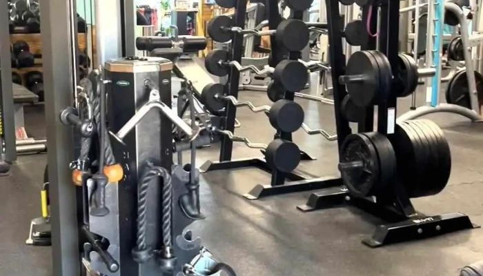 Ami Health Fitness Videos - Holmes Beach