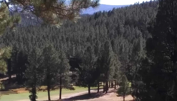 Angel Fire Country Club -  Instagram - Angel Fire