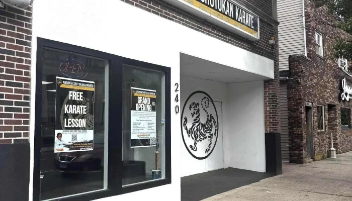 Ansonia Shotokan Karate -  All - Ansonia
