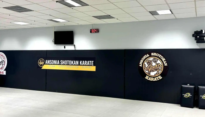 Ansonia Shotokan Karate -  Photos - Ansonia