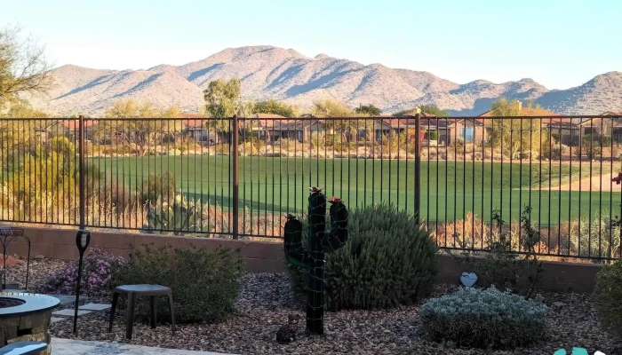 Anthem Golf Country Club Landscape - Anthem