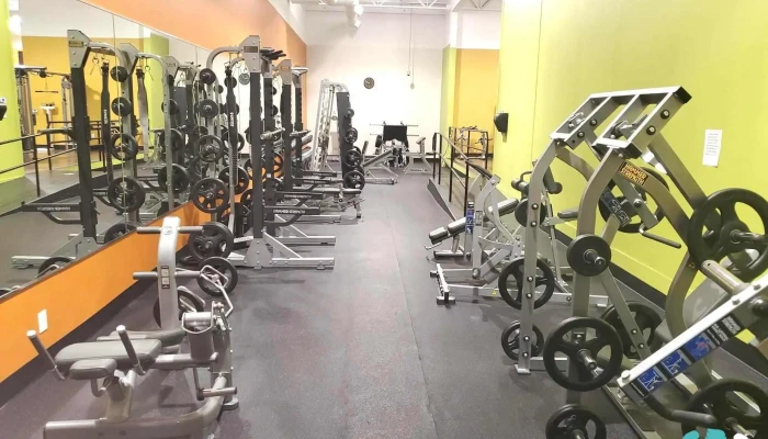 Anytime Fitness -  All - Franklin