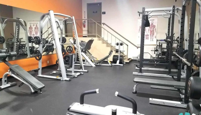 Anytime Fitness -  All - Grass Valley