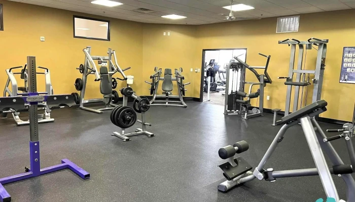 Anytime Fitness -  All - Palestine