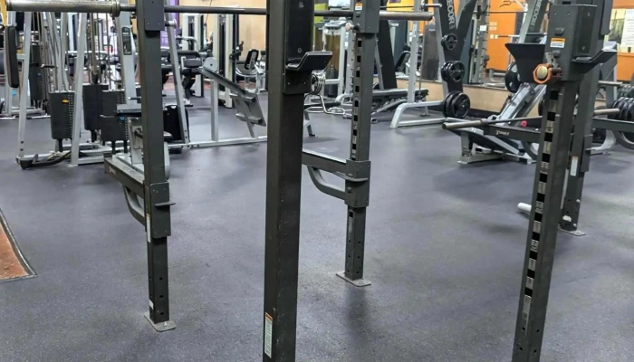 Anytime Fitness - Alvin