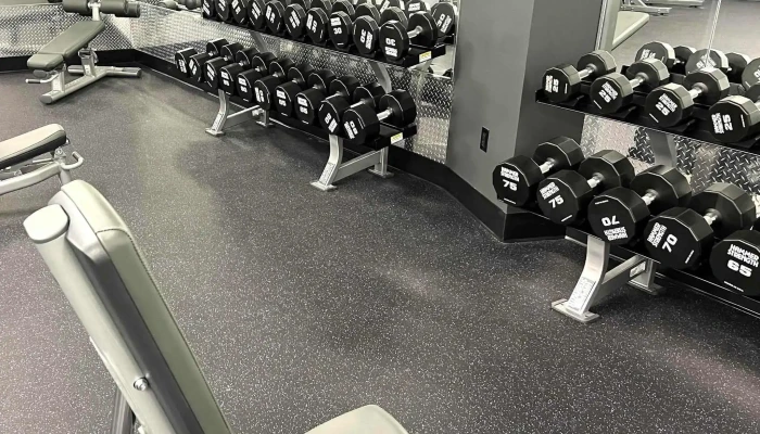 Anytime Fitness -  Area - Portland