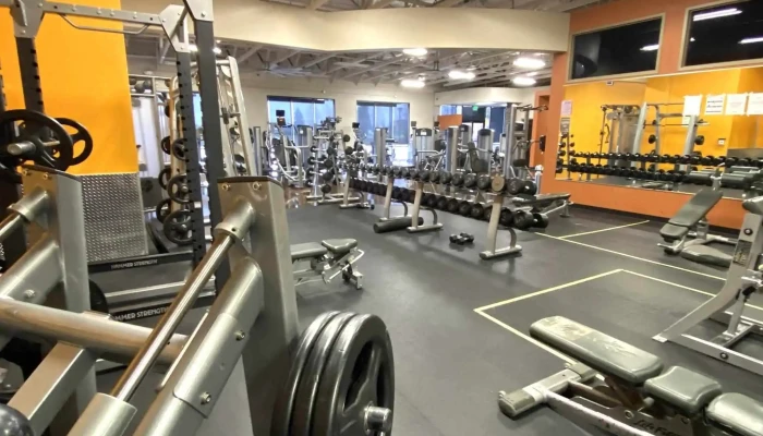 Anytime Fitness -  Area - Tracy