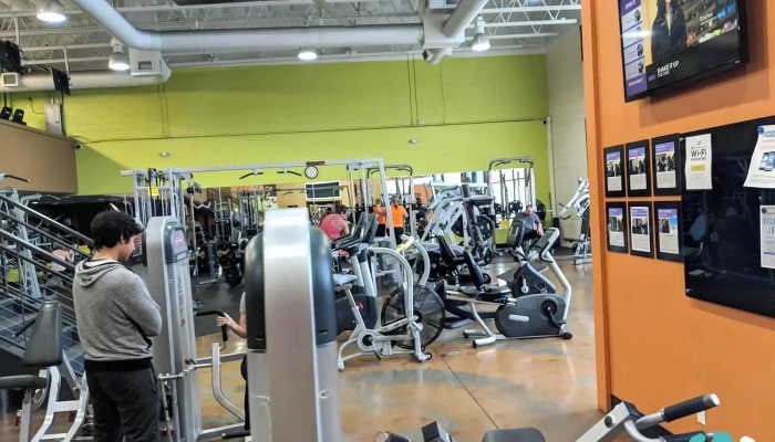 Anytime Fitness -  Exercise Machine - Jackson