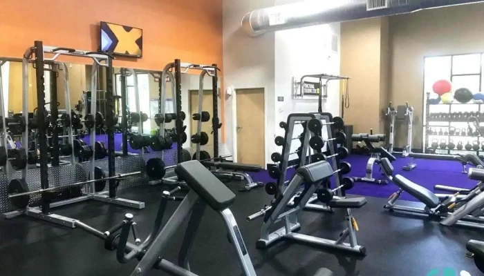 Anytime Fitness -  Exercise Machine - Flint