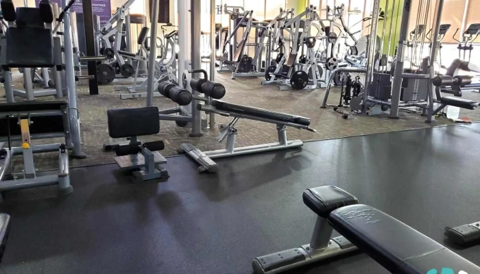 Anytime Fitness -  Gym - Bullard