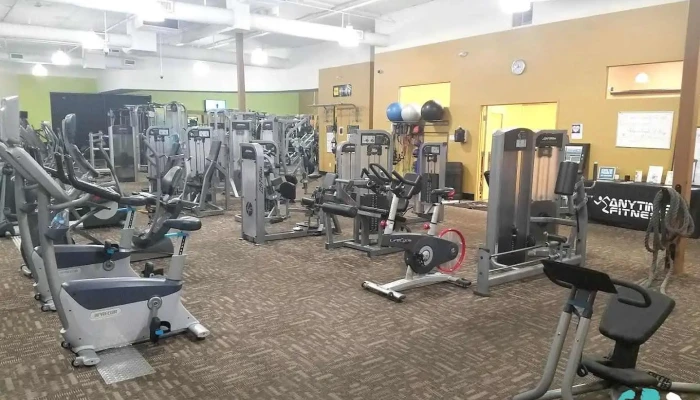 Anytime Fitness - Mesa
