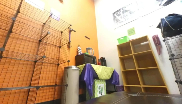 Anytime Fitness -  Street View 360deg - Fort Myers