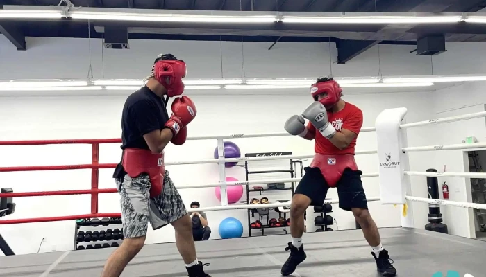 Armorup Boxing Club By Owner - San Jose