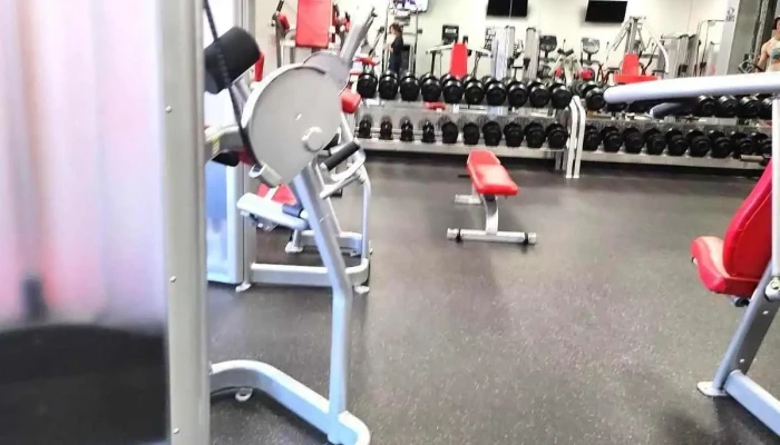 Back To Fitness -  All - Savannah